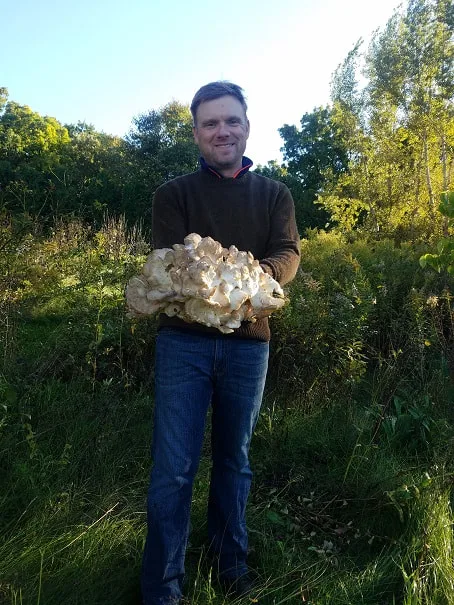 Wisconsin Hen of the Woods, Wisconsin Maitake