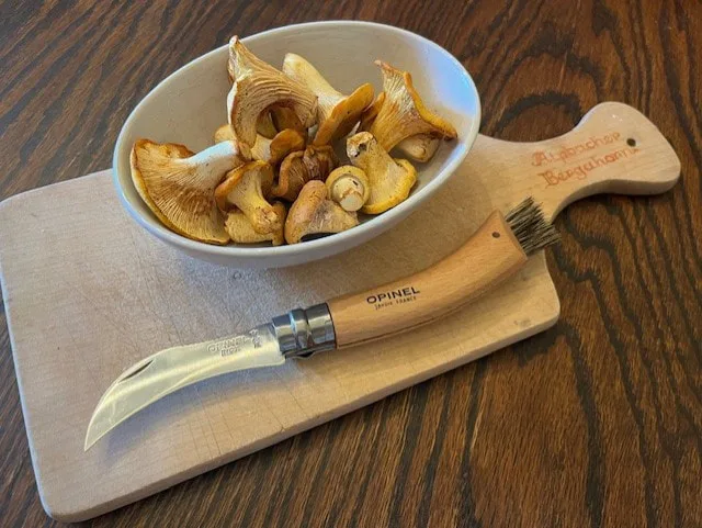 Wisconsin Chanterelles