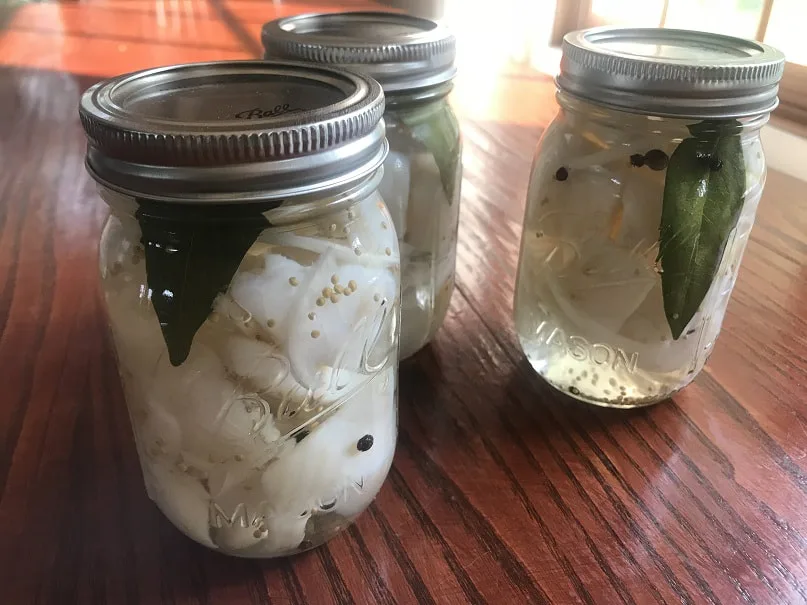 Pickled Pike