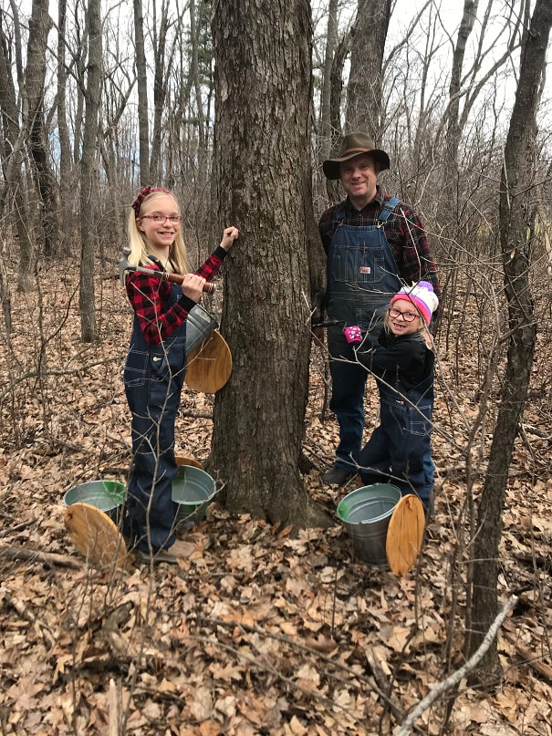 Tapping Maple Trees in Wisconsin